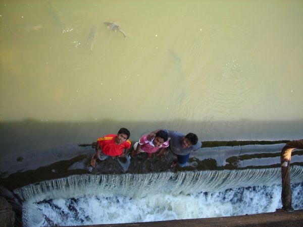 Above the waterfalls !!!!